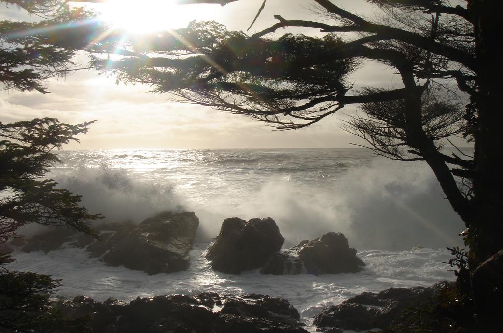 Waters Edge Shoreside Suites Ucluelet Luaran gambar