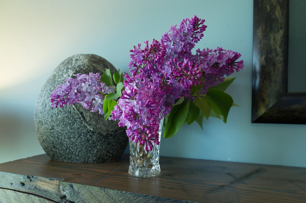 Waters Edge Shoreside Suites Ucluelet Luaran gambar